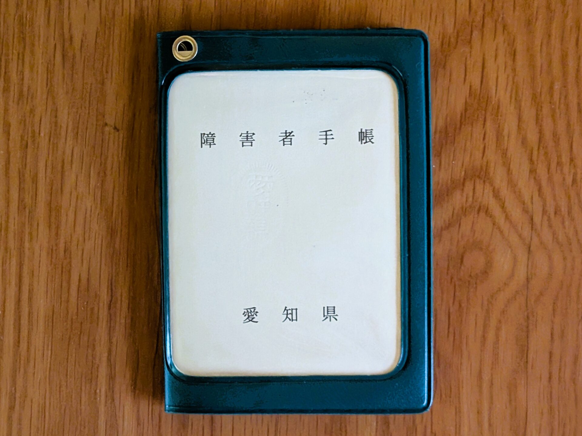 就労継続支援B型事業所『でじるみ愛知扶桑』 | うつ病からクリエーターへの道、精神障害者保健福祉手帳